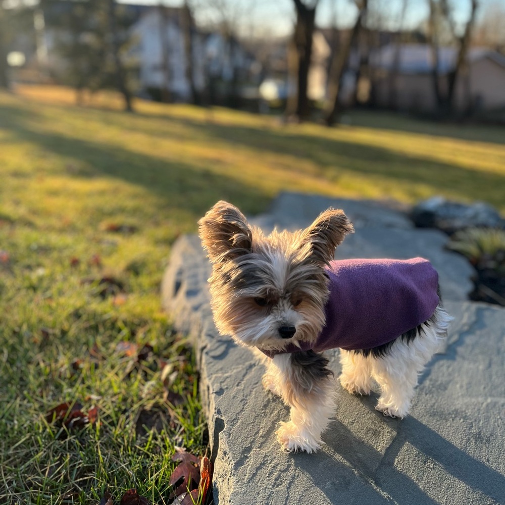 Meet your Posher, Heather